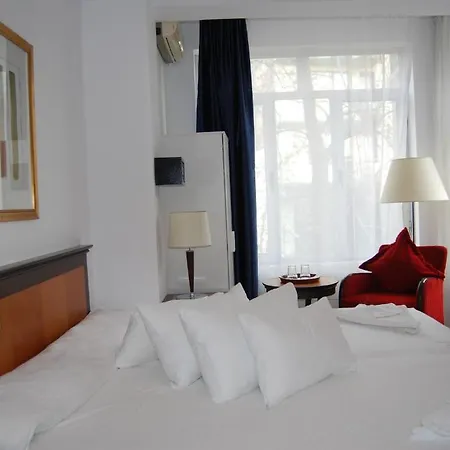 Litovoi Central Hotel 3*
